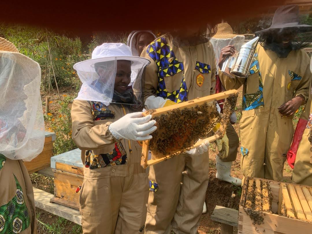 BEE ACADEMY